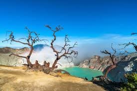 Gambar 3